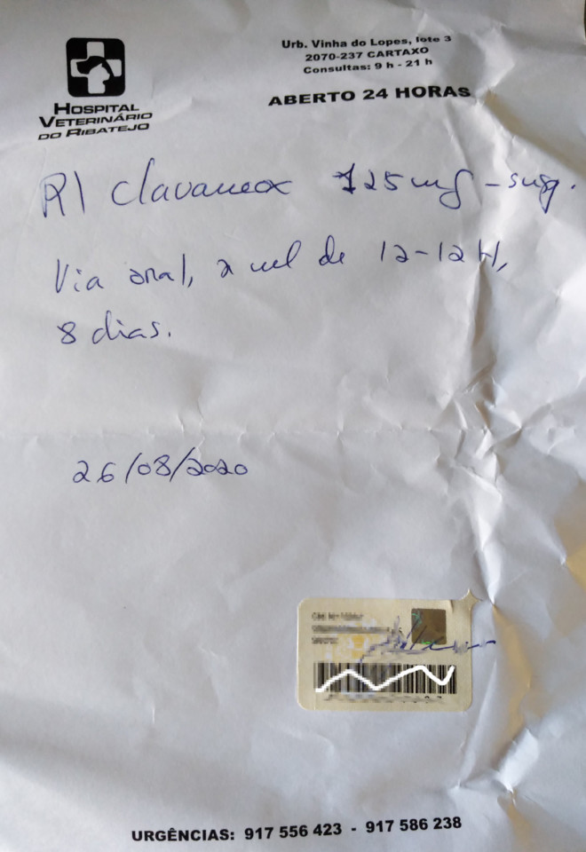 receitaveterinariaclavamox.jpg