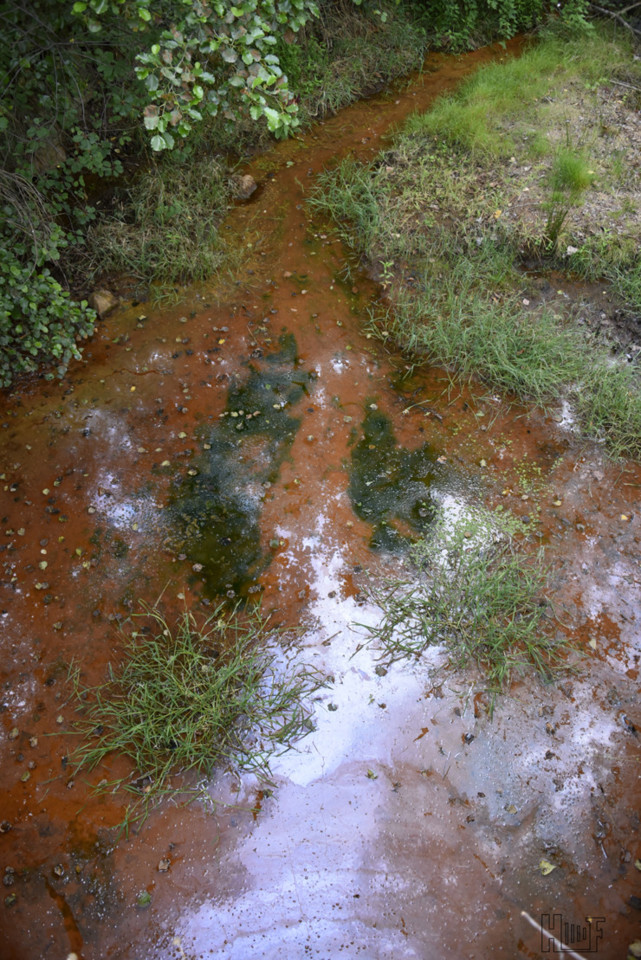 __DSC6736.JPG __DSC6736.JPG