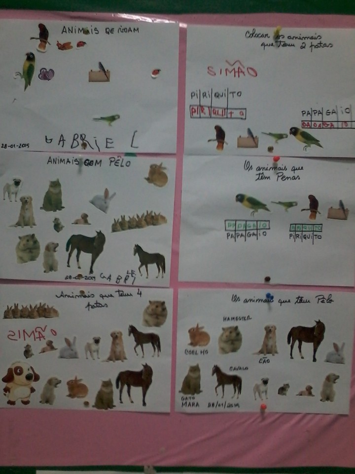 20130102_034529.jpg 20130102_034529.jpg