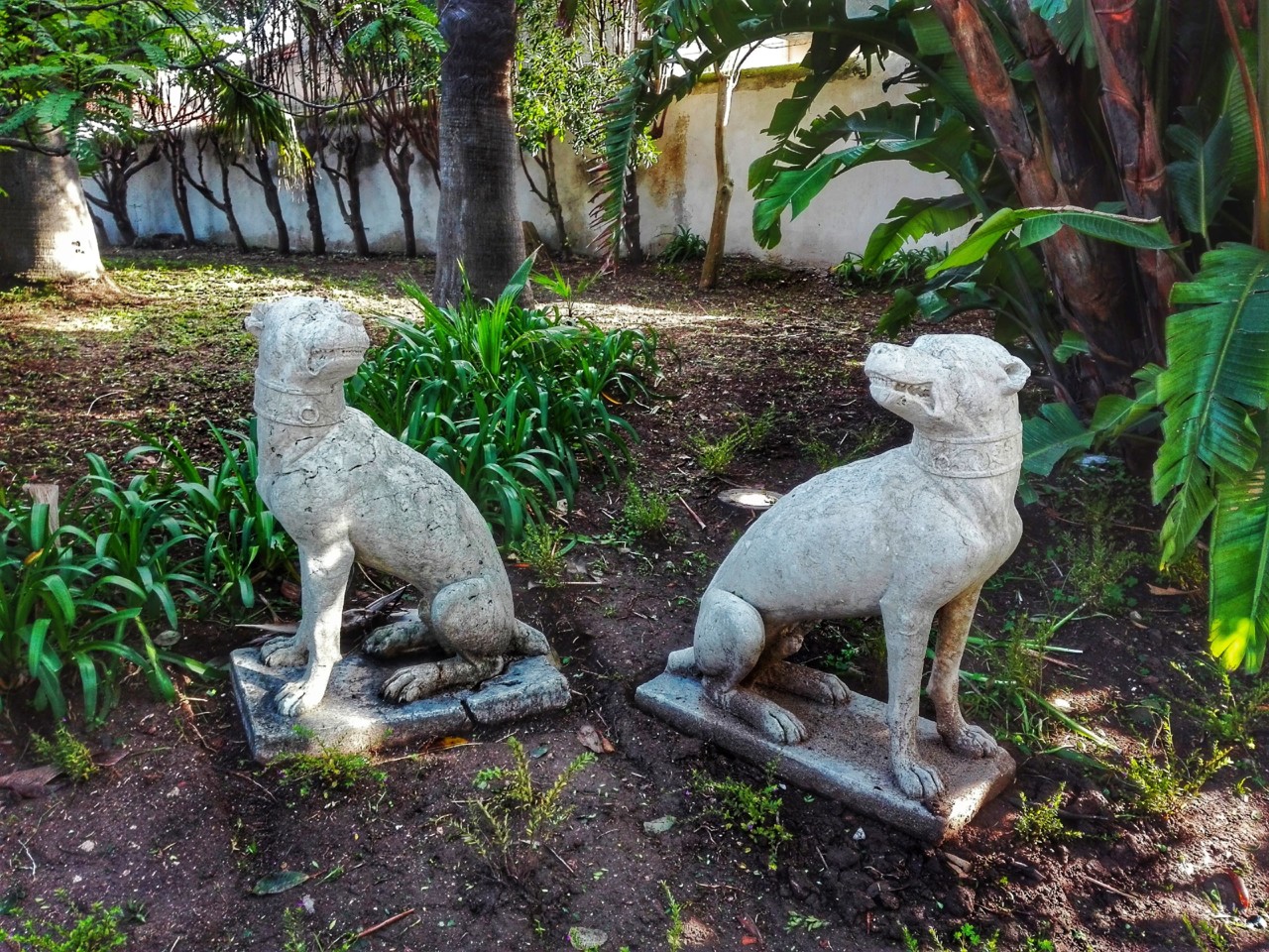 jardim tropical belem (3).jpg