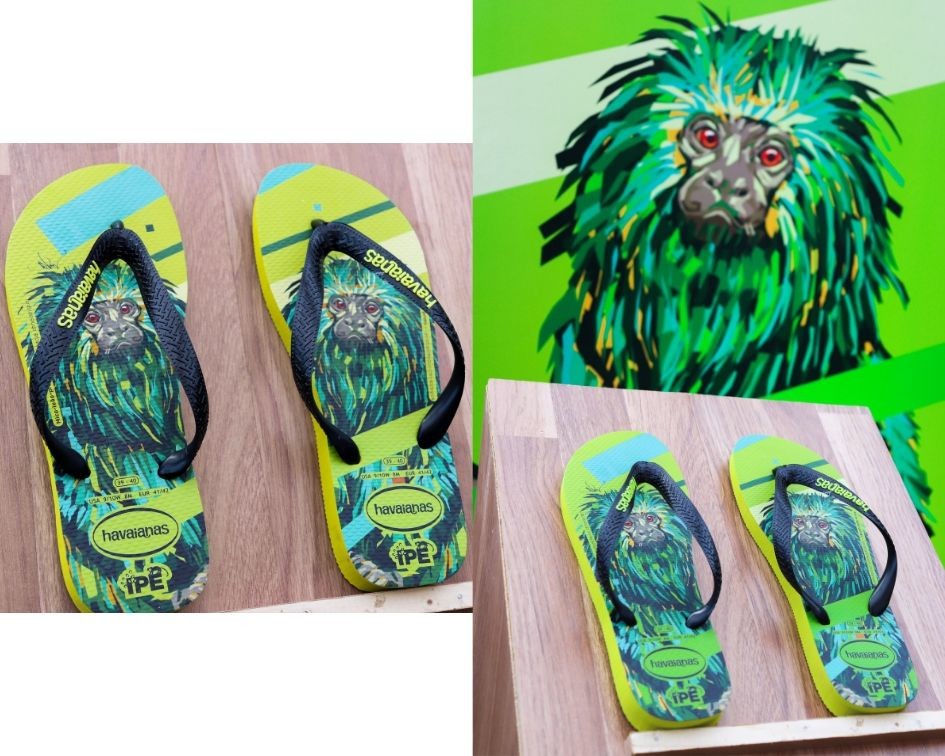 MicoLeãoPreto|HavaianasIPÊ2019.jpg MicoLeãoPreto|HavaianasIPÊ2019.jpg