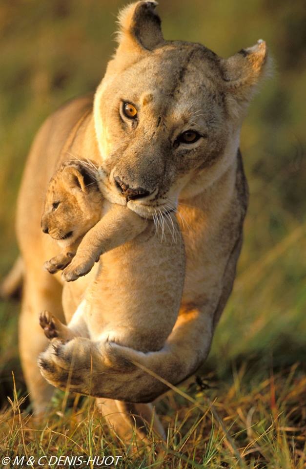mãe é mãe.jpg