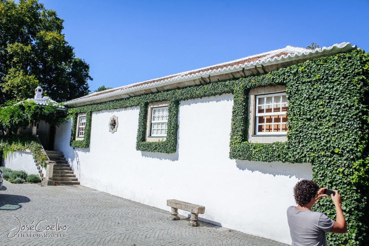 QUINTA DA PACHECA DOURO LAMEGO (19).jpg QUINTA DA PACHECA DOURO LAMEGO (19).jpg