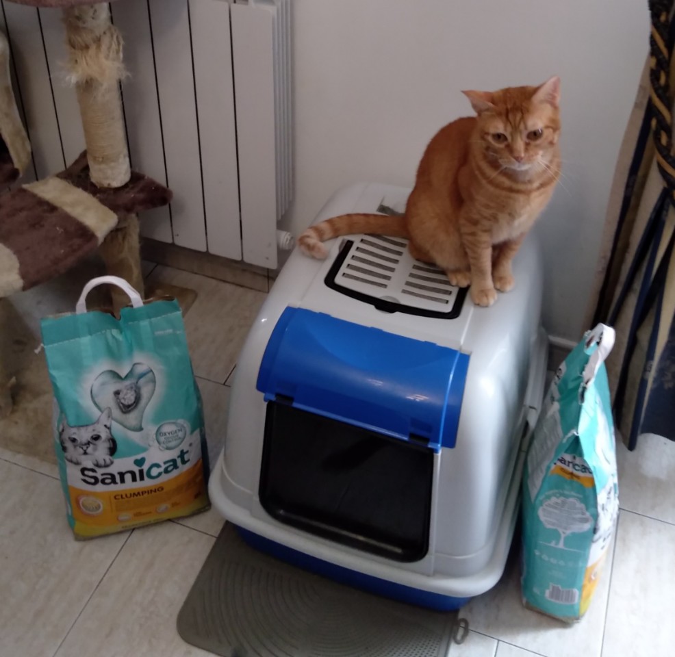 SquarePic_20201110_16101978.jpg SquarePic_20201110_16101978.jpg