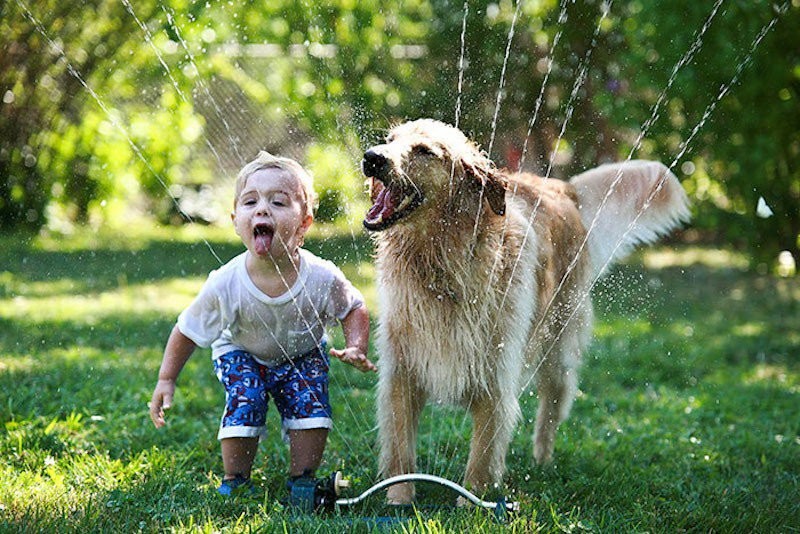 animais-de-estimacao21.jpg animais-de-estimacao21.jpg