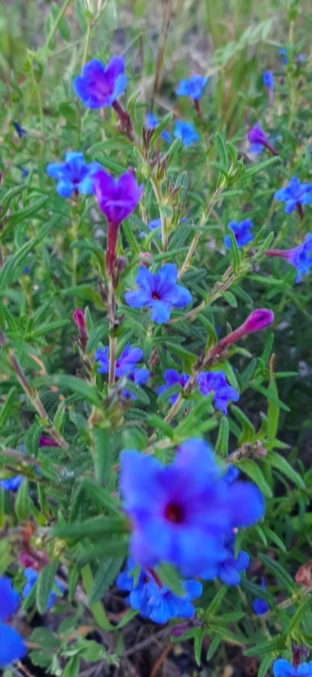 20210319_181148.jpg 20210319_181148.jpg