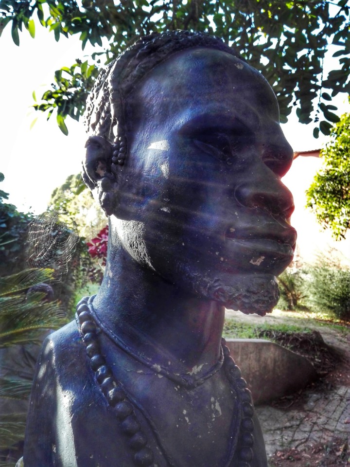 jardim tropical belem (12).jpg