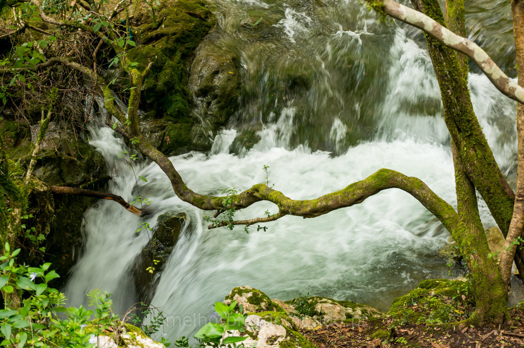_DSC5745.jpg