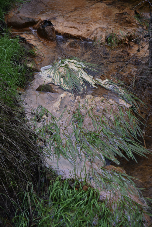 Ponto 2_DSC3215.JPG Ponto 2_DSC3215.JPG
