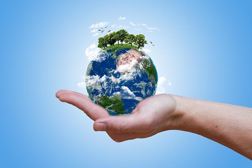 biodiversidade.jpg biodiversidade.jpg