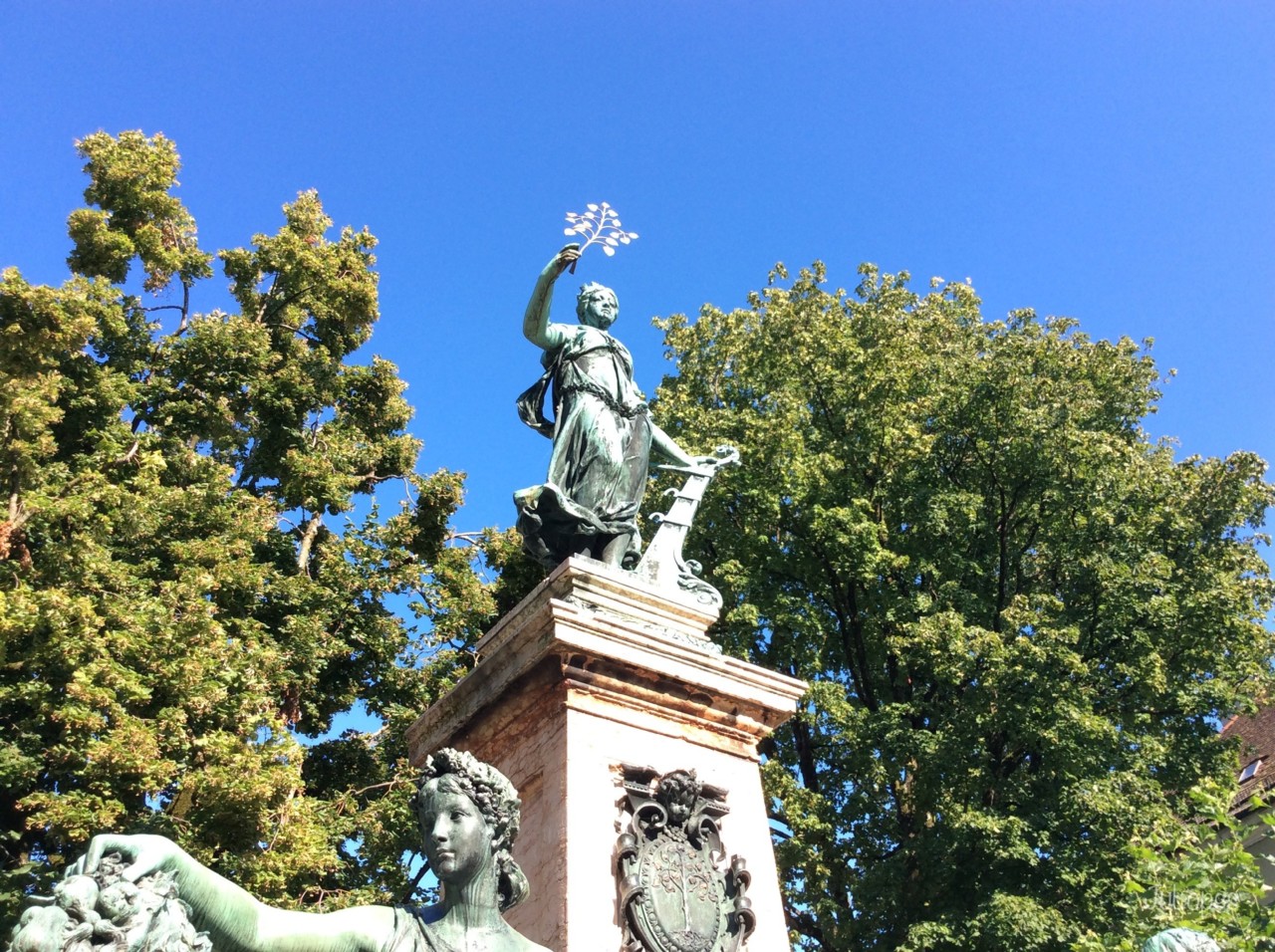 IMG_5605.jpeg
