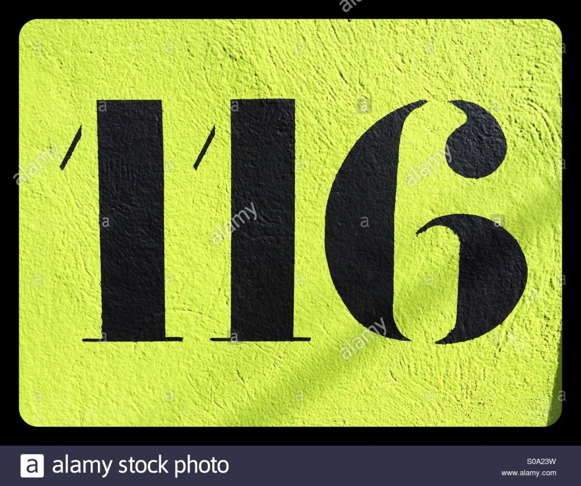116.jpg