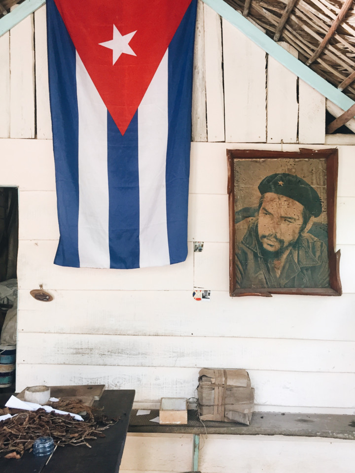 vinales-tabaco-1.jpg