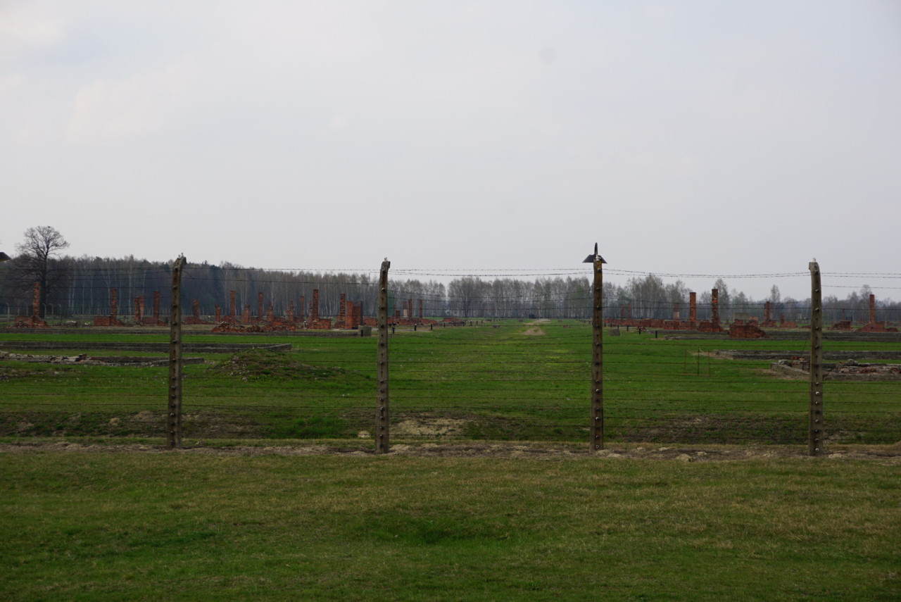 DSC04591.JPG DSC04591.JPG