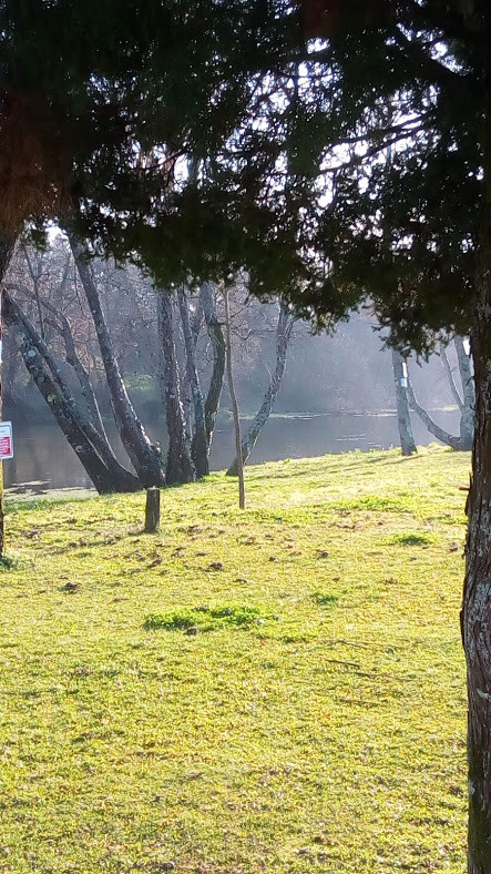 Nao_me_canso_disto_Caminhada9n.jpg