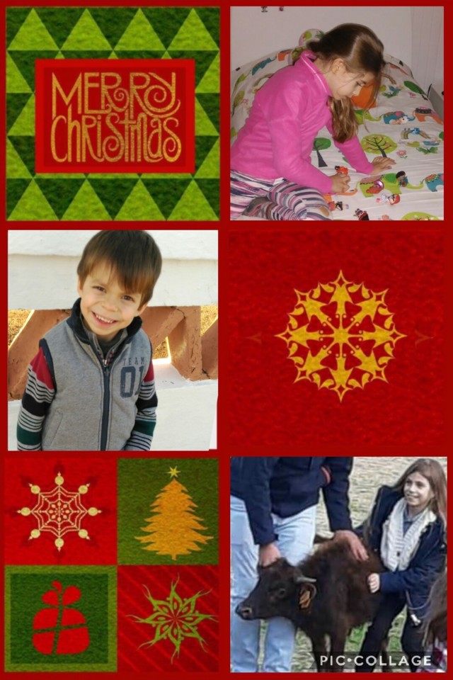 Collage 2018-12-08 14_00_37.jpg Collage 2018-12-08 14_00_37.jpg