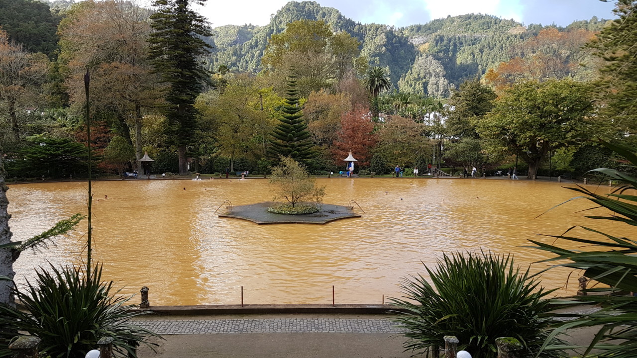 20181117_151510.jpg