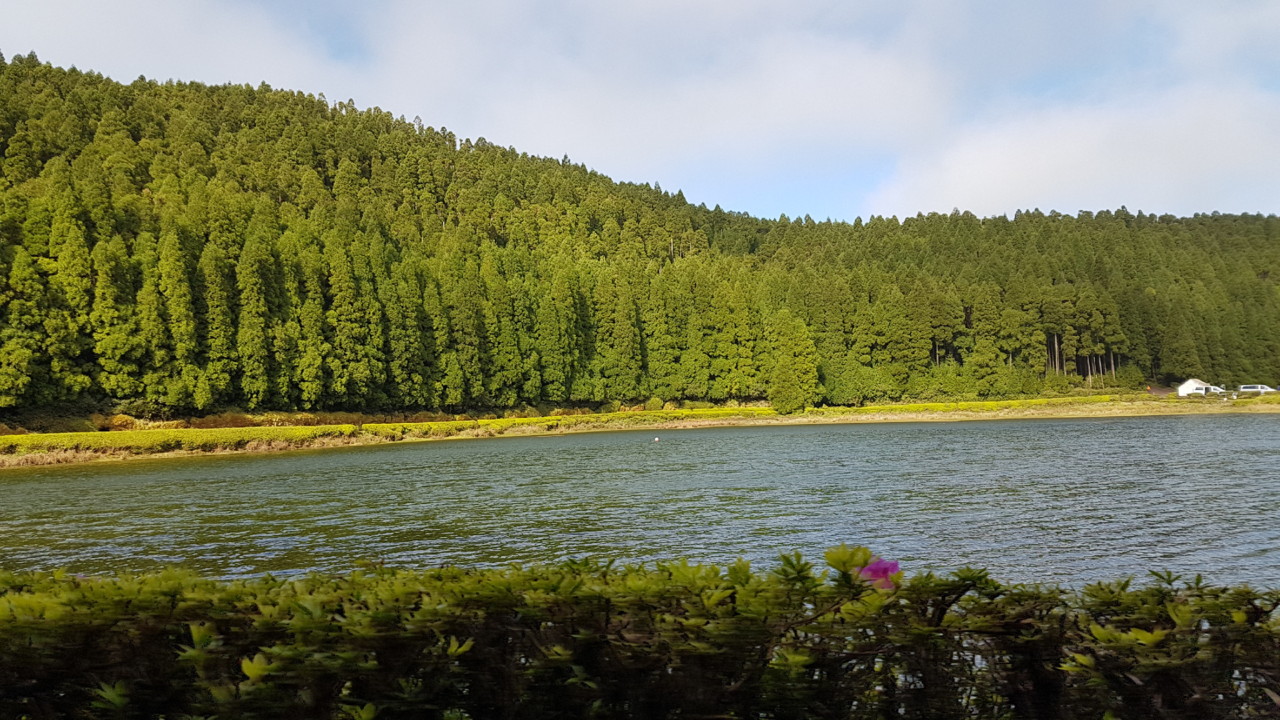 20180408_102605.jpg
