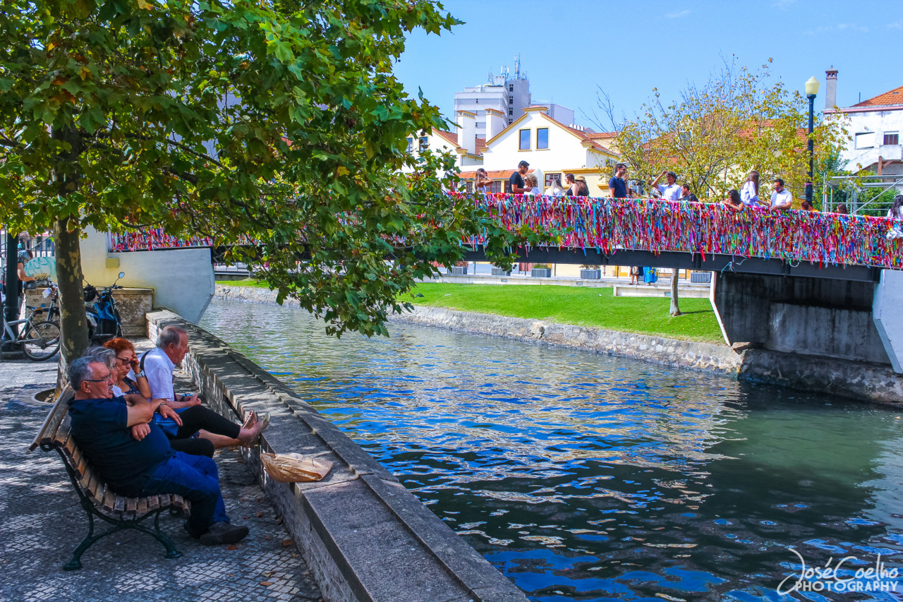 aveiro (21).jpg aveiro (21).jpg