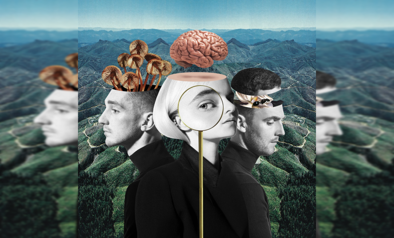 Песня бандитка ремикс. Clean Bandit "what is Love". Clean Bandit Baby. Clean Bandit solo. Clean Bandit британский музыкальный коллектив.