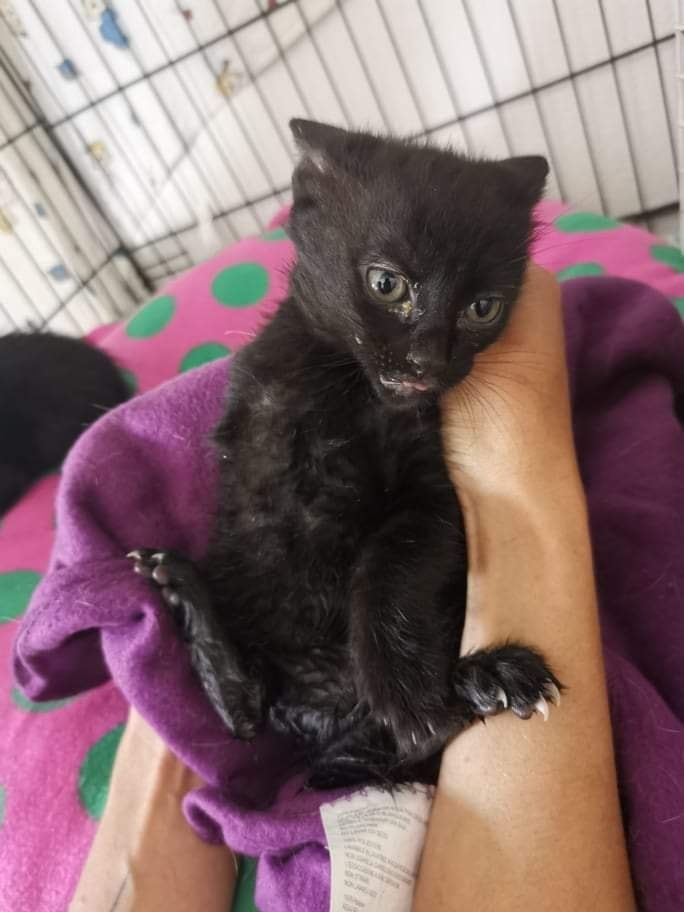 175012803_4149221108443270_3366022076507846325_n.j