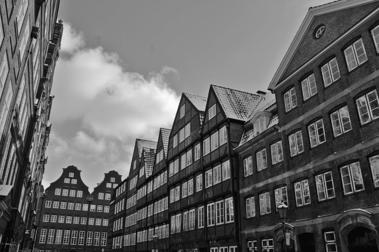 IMG_4079.JPG