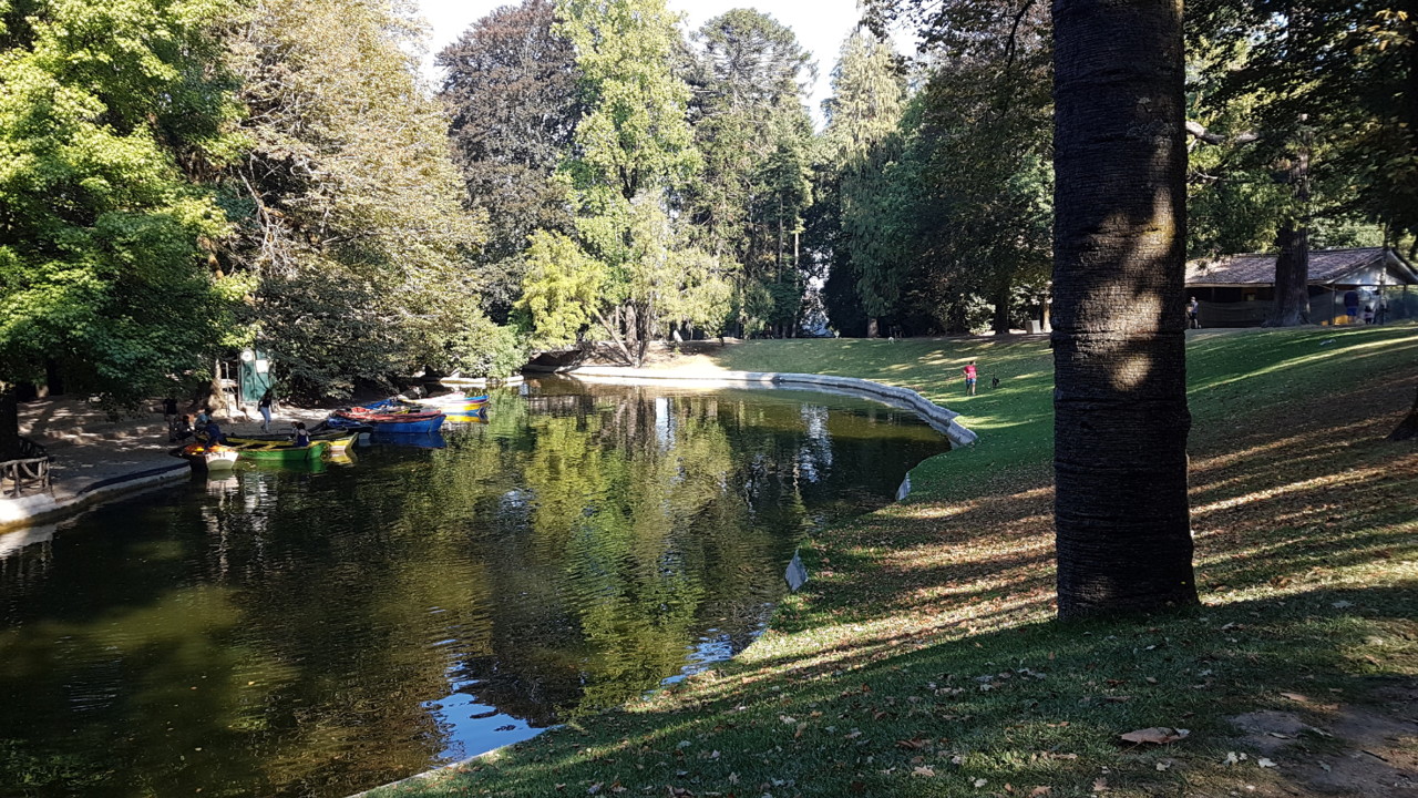 20180930_104234.jpg