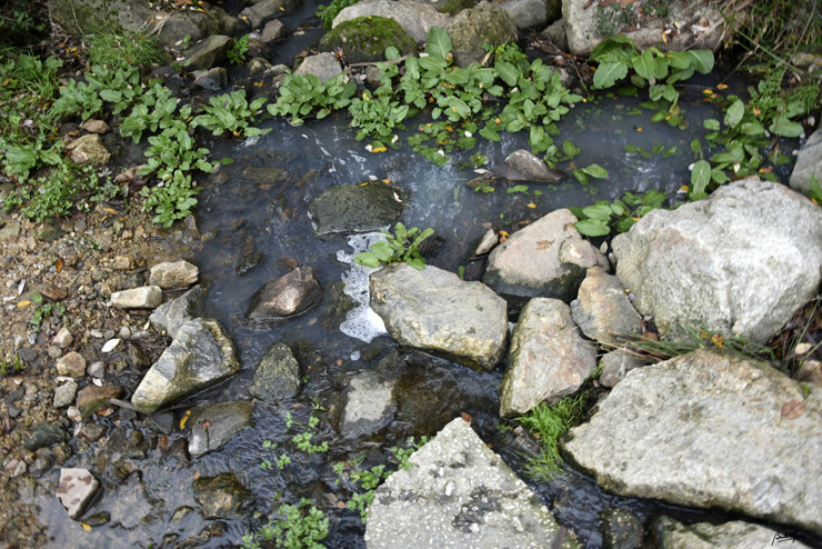 Ponto 3_DSC3222.JPG Ponto 3_DSC3222.JPG