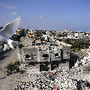 Pomba sobrevoa ruínas, Gaza