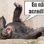 Macaco - eu &ntilde; acredito