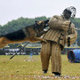 Sessão treino cães exército, Bengaluru, Índia