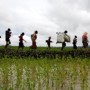 Fuga dos rohingya da Birmânia em direção ao Ban