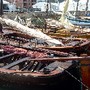 fgcmf encontro embarcações freixo galiza 2013 3