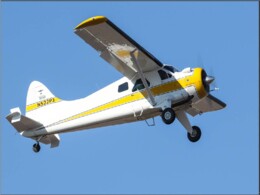 Beaver verdadeiro no ar.jpg