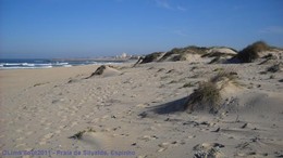 2011-10-08ObsCosteira (4) copy.jpg