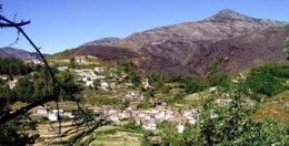 adrao - C&oacute;pia.jpeg