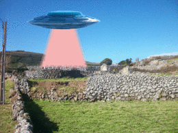 Faj&atilde; 003 Animation