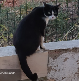 Captura de ecrã de 2023-07-28 18-28-46.png