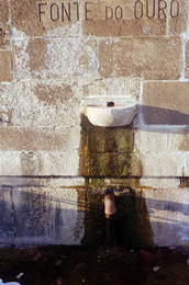 Fonte do Ouro 1 - Porto