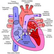 Batimentos cardiacos.png