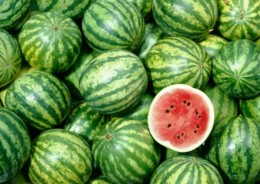 watermelon-1[1].jpg