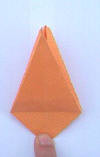 garca24_small.jpg