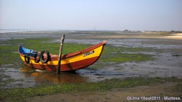 2011-10-15Murtosa (23) copy.jpg