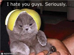 fb_5hRrzIOzI9mvPmkWaKSl