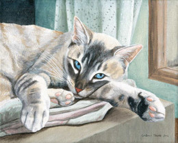 fb_SgoFSuD7Vy1ToKafbuYP