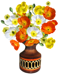 poppies-2915833_960_720ab.png